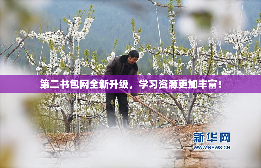 第二书包网全新升级，学习资源更加丰富！