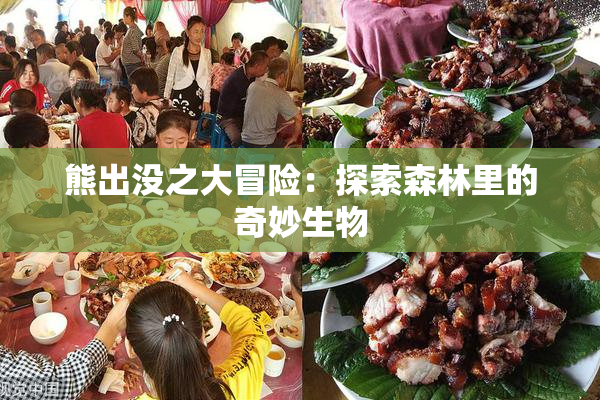 熊出没之大冒险：探索森林里的奇妙生物