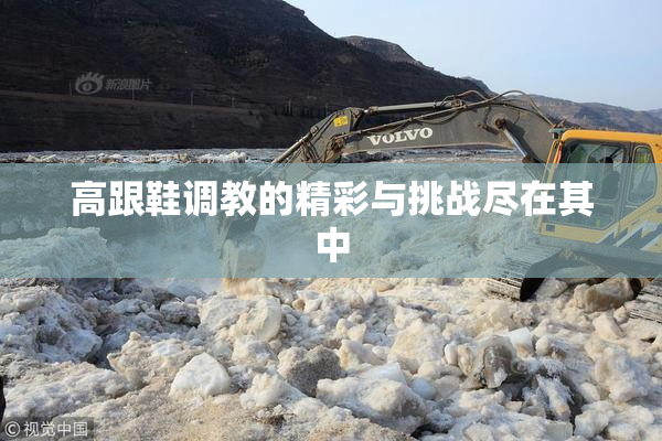 高跟鞋调教的精彩与挑战尽在其中