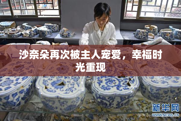 沙奈朵再次被主人宠爱，幸福时光重现