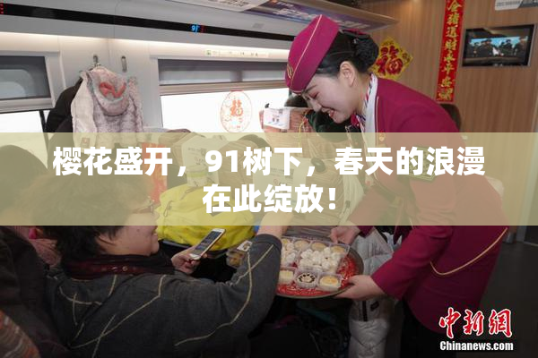 樱花盛开，91树下，春天的浪漫在此绽放！