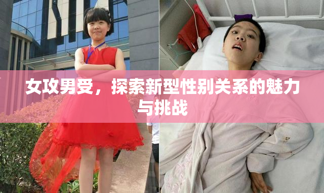 女攻男受，探索新型性别关系的魅力与挑战