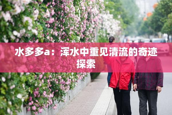 水多多a：浑水中重见清流的奇迹探索