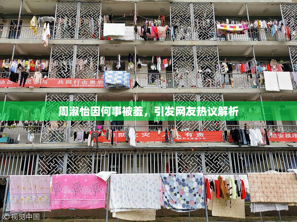 周淑怡因何事被羞，引发网友热议解析