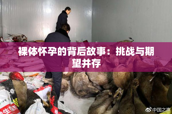 裸体怀孕的背后故事：挑战与期望并存