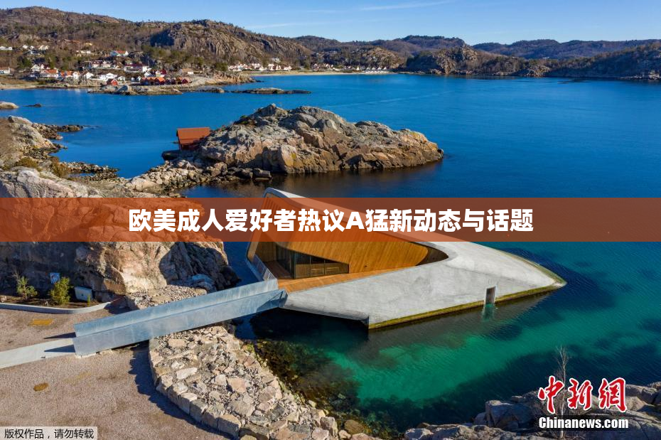 欧美成人爱好者热议A猛新动态与话题