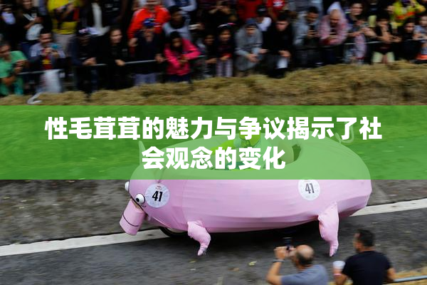 性毛茸茸的魅力与争议揭示了社会观念的变化