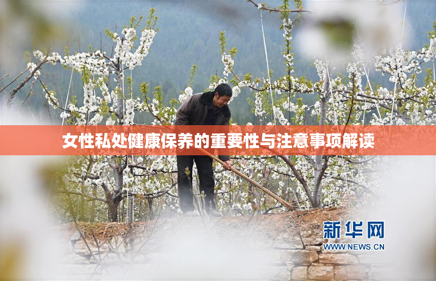 女性私处健康保养的重要性与注意事项解读