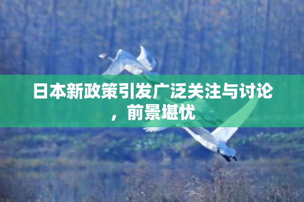 日本新政策引发广泛关注与讨论，前景堪忧