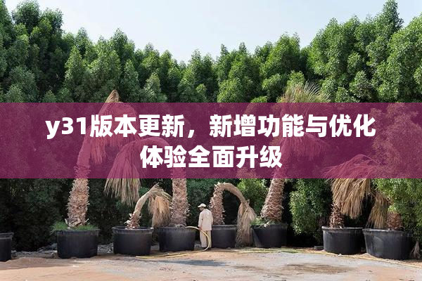 y31版本更新，新增功能与优化体验全面升级