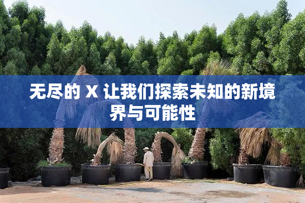 无尽的 X 让我们探索未知的新境界与可能性