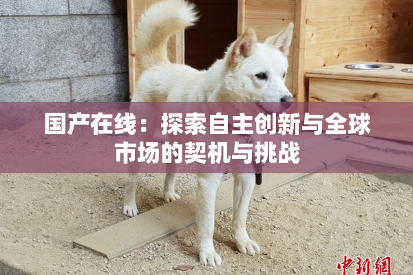 国产在线：探索自主创新与全球市场的契机与挑战