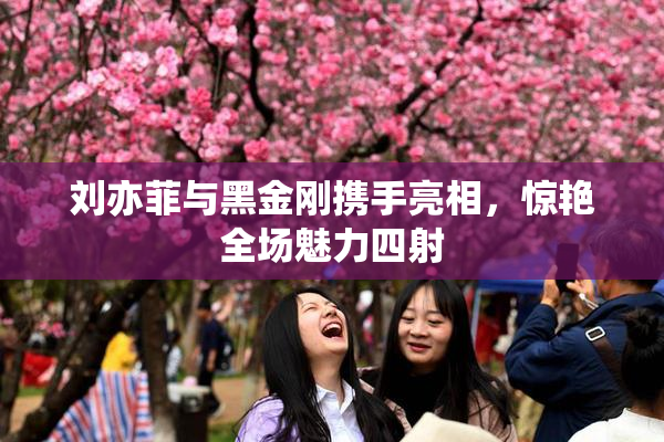 刘亦菲与黑金刚携手亮相，惊艳全场魅力四射