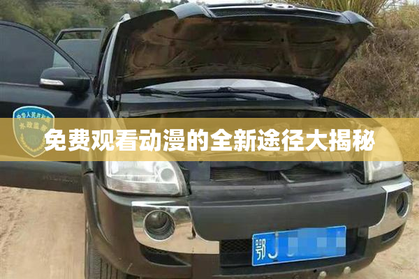 免费观看动漫的全新途径大揭秘