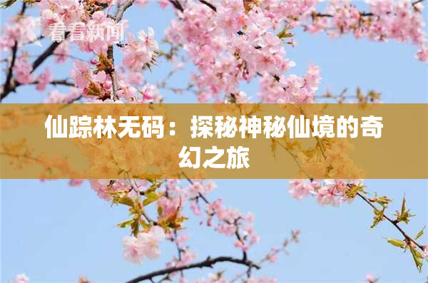 仙踪林无码：探秘神秘仙境的奇幻之旅