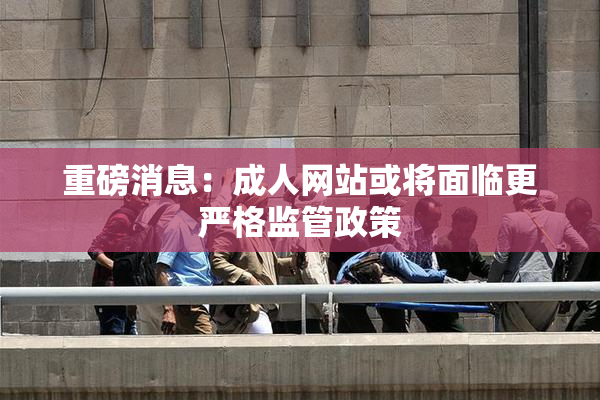 重磅消息：成人网站或将面临更严格监管政策