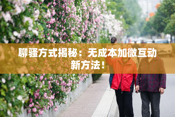 聊骚方式揭秘：无成本加微互动新方法！
