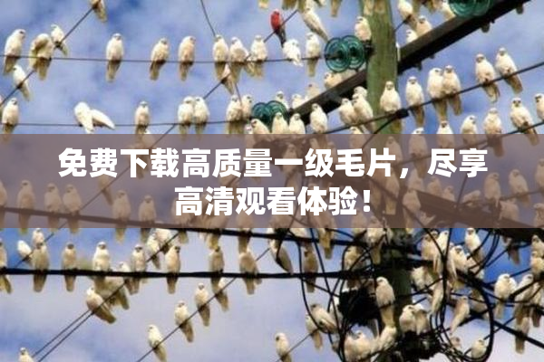 免费下载高质量一级毛片，尽享高清观看体验！