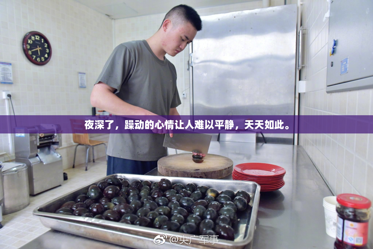 夜深了，躁动的心情让人难以平静，天天如此。