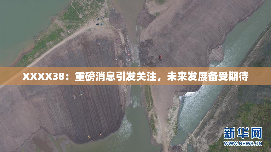 XXXX38：重磅消息引发关注，未来发展备受期待