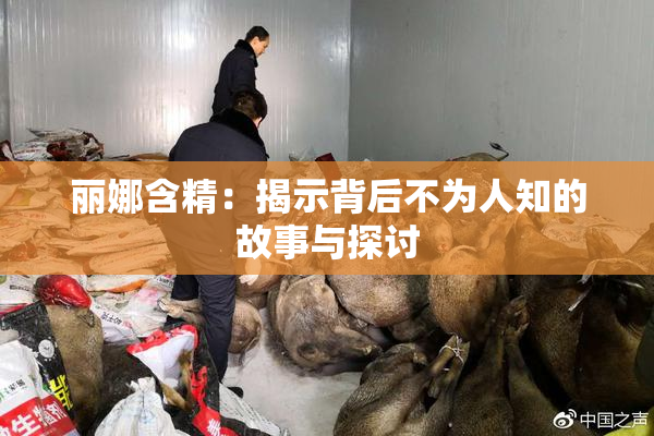 丽娜含精：揭示背后不为人知的故事与探讨