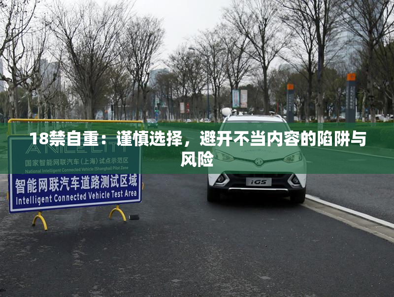 18禁自重：谨慎选择，避开不当内容的陷阱与风险
