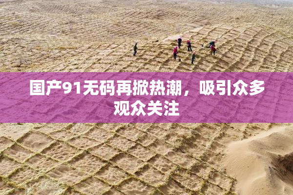 国产91无码再掀热潮，吸引众多观众关注