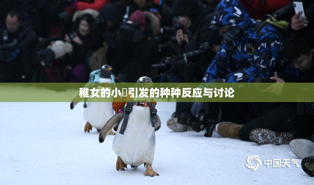稚女的小泬引发的种种反应与讨论