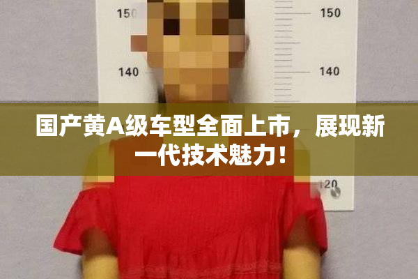 国产黄A级车型全面上市，展现新一代技术魅力！