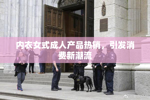 内衣女式成人产品热销，引发消费新潮流