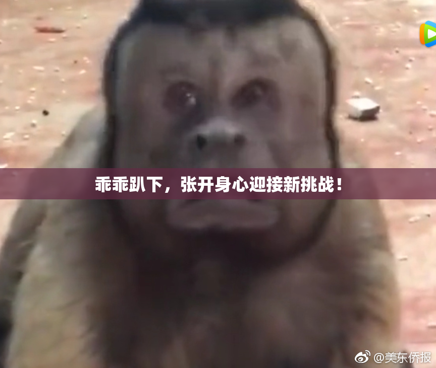 乖乖趴下，张开身心迎接新挑战！