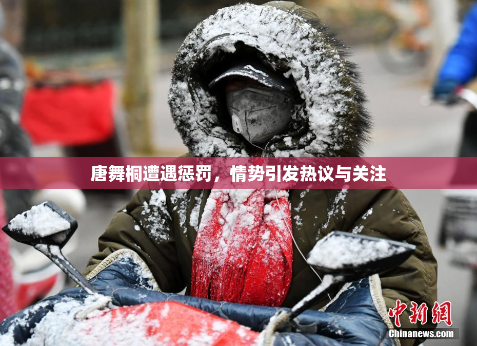 唐舞桐遭遇惩罚，情势引发热议与关注