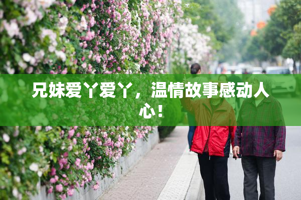 兄妹爱丫爱丫，温情故事感动人心！