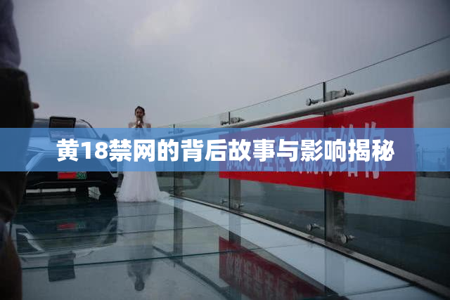黄18禁网的背后故事与影响揭秘