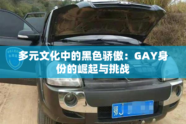 多元文化中的黑色骄傲：GAY身份的崛起与挑战