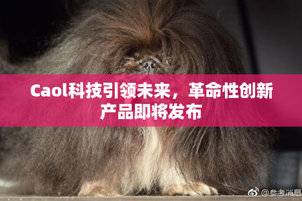 Caol科技引领未来，革命性创新产品即将发布
