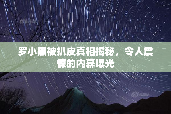 罗小黑被扒皮真相揭秘，令人震惊的内幕曝光