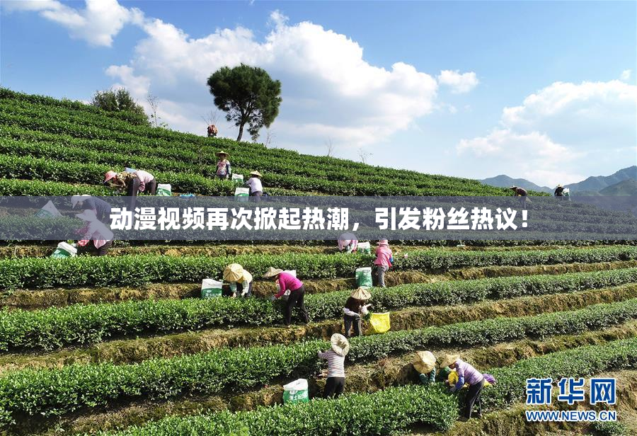 动漫视频再次掀起热潮，引发粉丝热议！