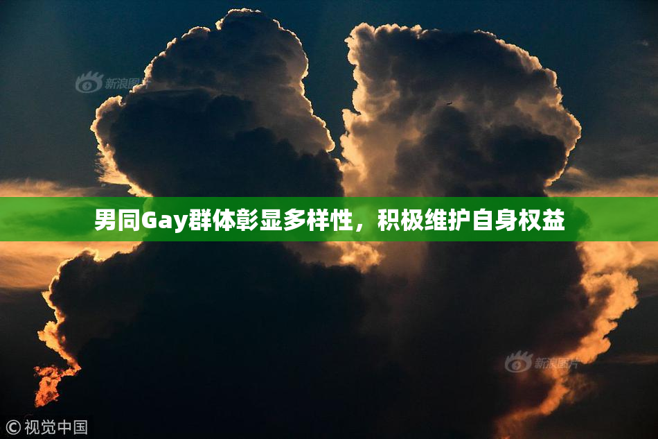 男同Gay群体彰显多样性，积极维护自身权益