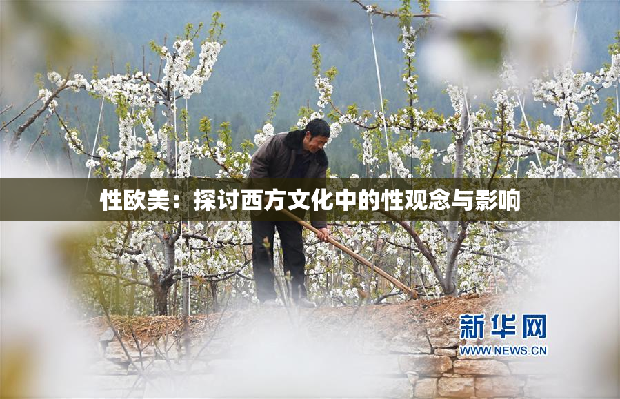 性欧美：探讨西方文化中的性观念与影响
