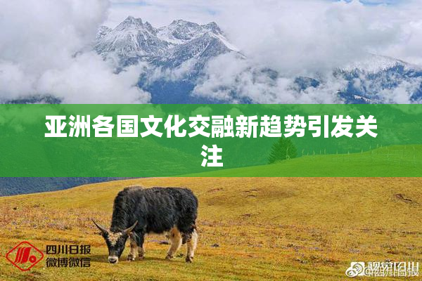 亚洲各国文化交融新趋势引发关注