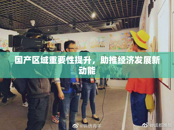 国产区域重要性提升，助推经济发展新动能