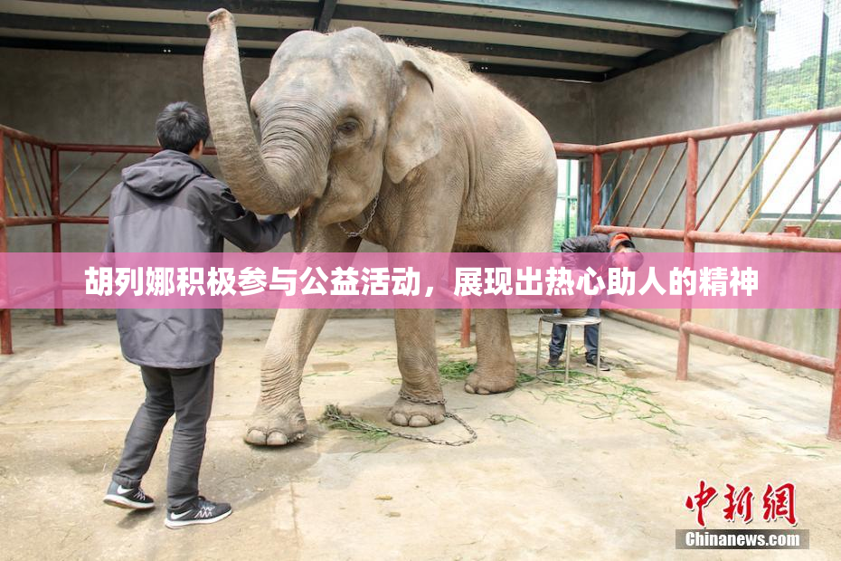 胡列娜积极参与公益活动，展现出热心助人的精神