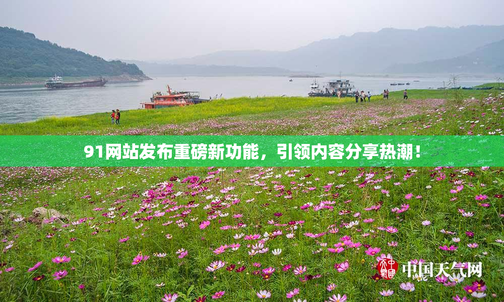 91网站发布重磅新功能，引领内容分享热潮！