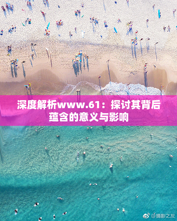 深度解析www.61：探讨其背后蕴含的意义与影响