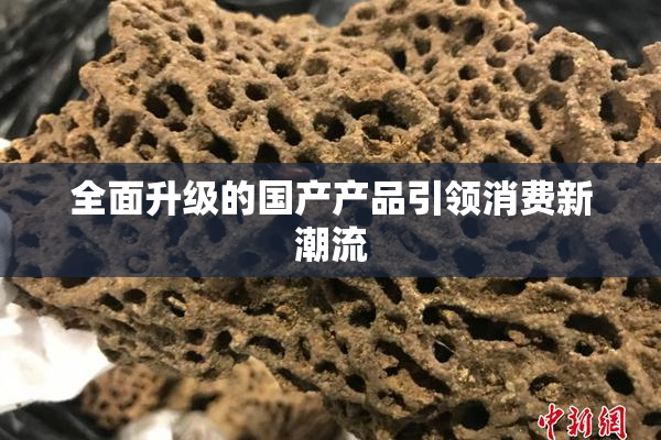 全面升级的国产产品引领消费新潮流