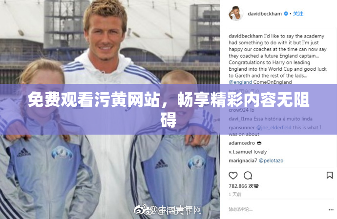 免费观看污黄网站，畅享精彩内容无阻碍