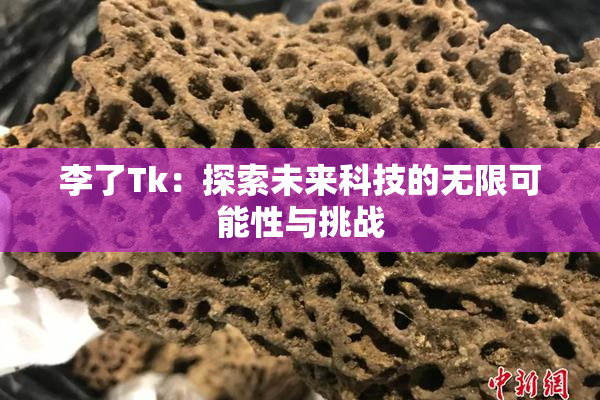 李了Tk：探索未来科技的无限可能性与挑战