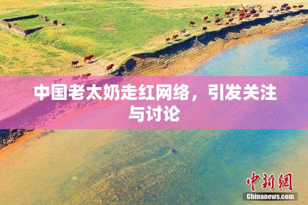 中国老太奶走红网络，引发关注与讨论