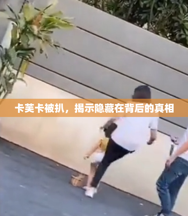 卡芙卡被扒，揭示隐藏在背后的真相